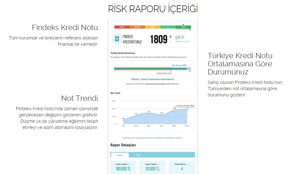 E-Devlet Şifresi ile Kredi Notu Sorgulama Nasıl Yapılır